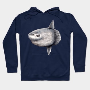 Ocean sunfish (Mola mola) Hoodie